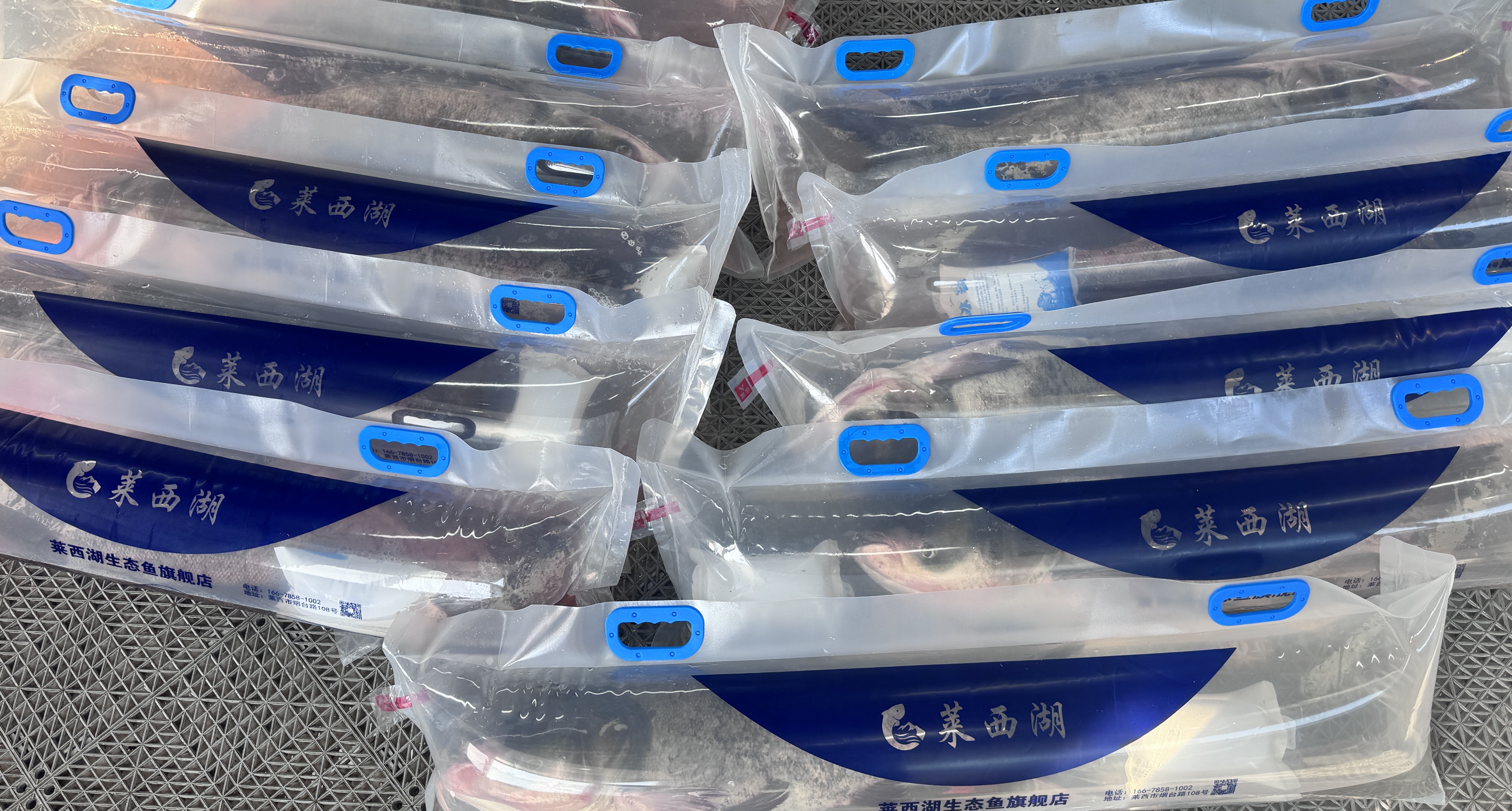 莱西湖有机鳙鱼（花鲢4kg-6kg/条）/仅限青岛地区配送